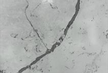 Calacatta Statuario-3CM