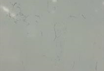Carrara Plasma  3CM PSQ