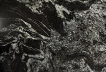 Silver Waves (p) 3cm