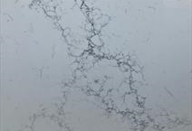 Michael Angelo-3CM-PSQ